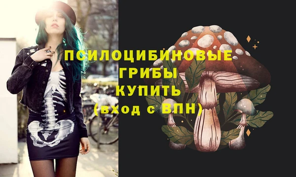 стафф Покачи